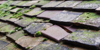 Bromham roof repair costs